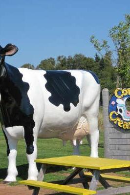 COWS Creamery